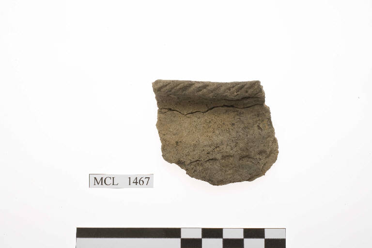 olla/ orlo/ frammento - cultura di Golasecca (sec. IX-V a.C.)