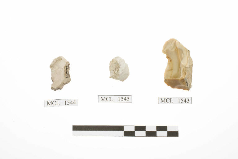 scheggia denticolata - Mesolitico Medio/Finale (prima metà mill. VI a.C.)