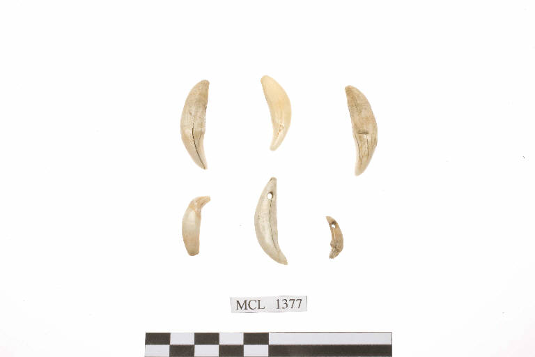 denti - età del Rame (mill. III a.C.)