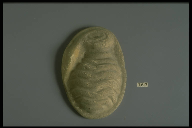 terracotta anatomica - Magno greco