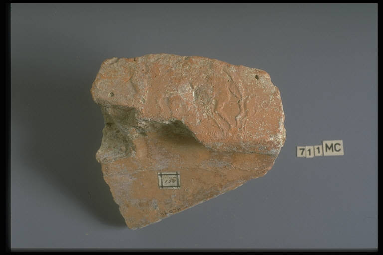Zoomachia (frammento pithos) - Greco arcaico