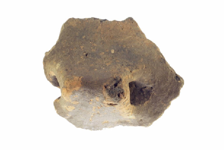 parete+ansa di vaso globulare - Facies nord-occidentale del Bronzo Medio e Recente (Bronzo Recente)