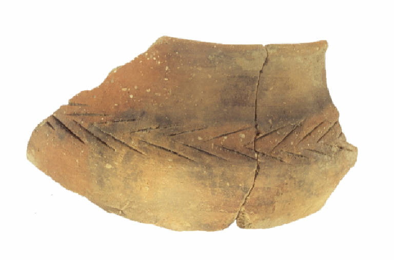 olla ovoide/forma parzialmente ricostruibile - cultura ligure (Seconda Età del Ferro)