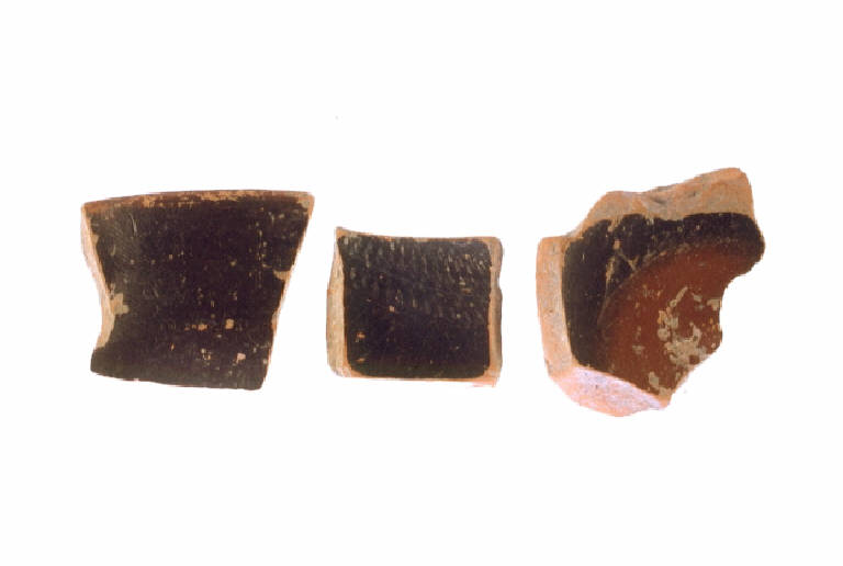 tazza/forma parzialmente ricostruibile - ambito etrusco (Seconda Età del Ferro)