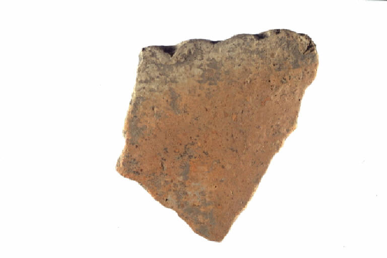 orlo di vaso a bocca quadrata - cultura ligure (Seconda Età del Ferro)
