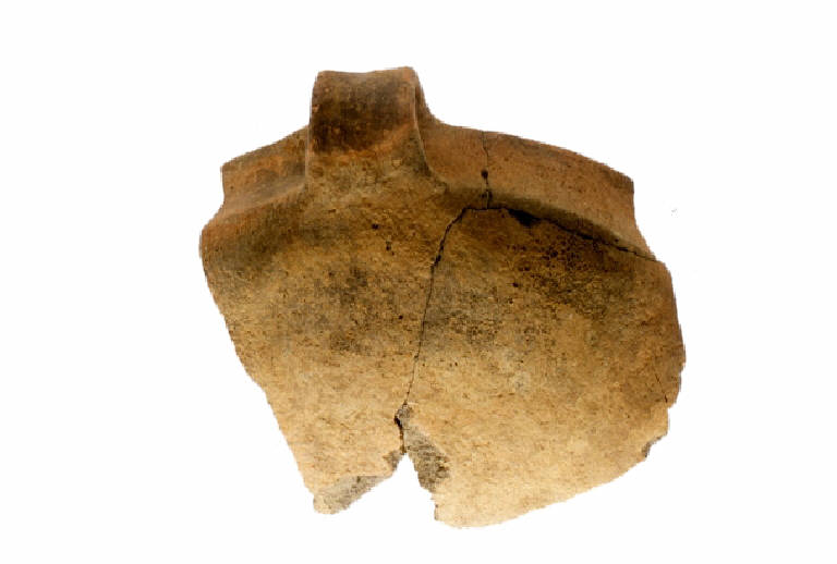 tazza monoansata/forma parzialmente ricostruibile - Facies nord-occidentale del Bronzo Medio e Recente (Bronzo Medio)