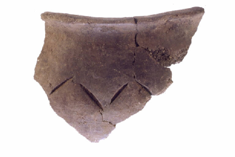 olla ovoide/forma parzialmente ricostruibile - cultura ligure (Media Età del Ferro)