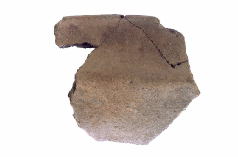ciotola carenata/forma parzialmente ricostruibile - Facies nord-occidentale del Bronzo Medio e Recente (Bronzo Medio-Recente)