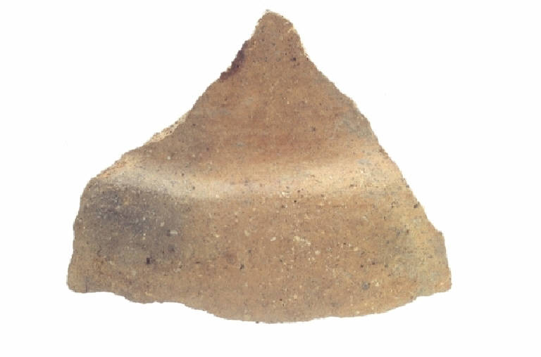olla biconica/frammento - cultura ligure (Seconda Età del Ferro)