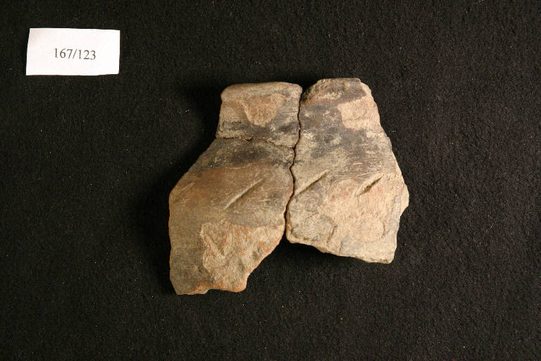 olla troncoconica/forma parzialmente ricostruibile - cultura ligure (Media Età del Ferro)