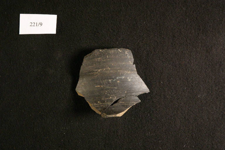 orlo di olla ovoide - ambito etrusco (Media Età del Ferro)