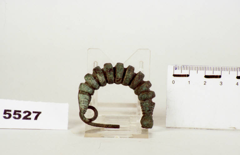 fibula a grandi coste - prima età del ferro (G I B) (fine/inizio secc. VIII/ VII a.C.)