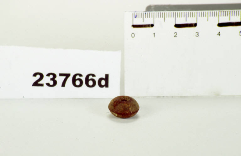 elemento di fibula - prima età del ferro (G II B) (fine/inizio sec. VI-V a.C.)