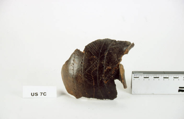 urna / frammento - cultura golasecchiana (prima età del Ferro)