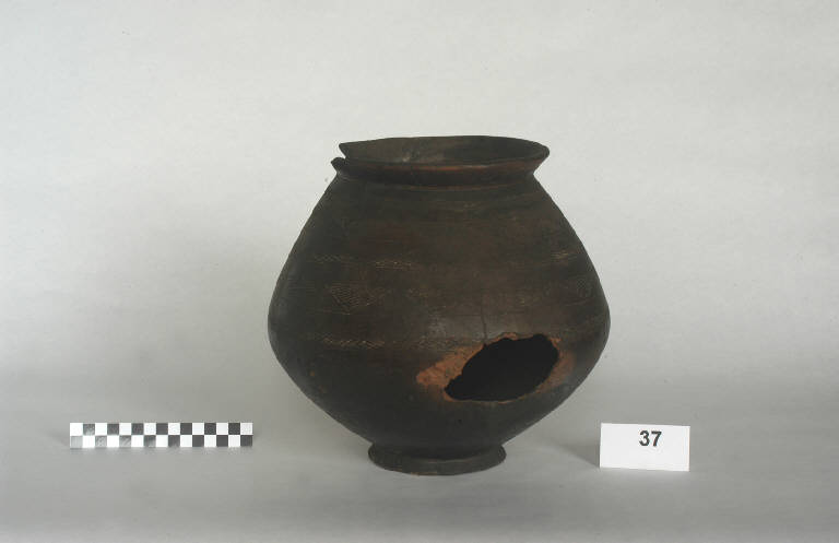 urna biconica - cultura golasecchiana (prima età del Ferro)