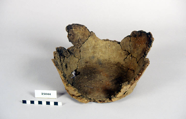 fondo di vaso - fase antica del Bronzo (antica età del Bronzo)