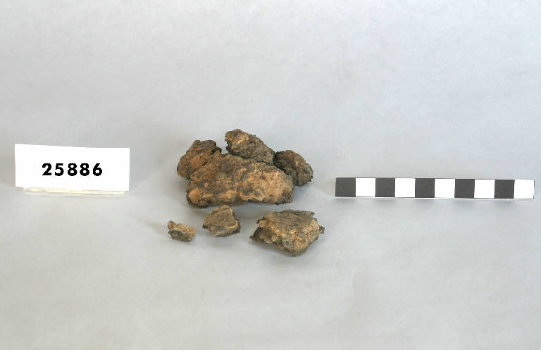 vaso / frammento - fase antica del Bronzo (antica età del Bronzo)