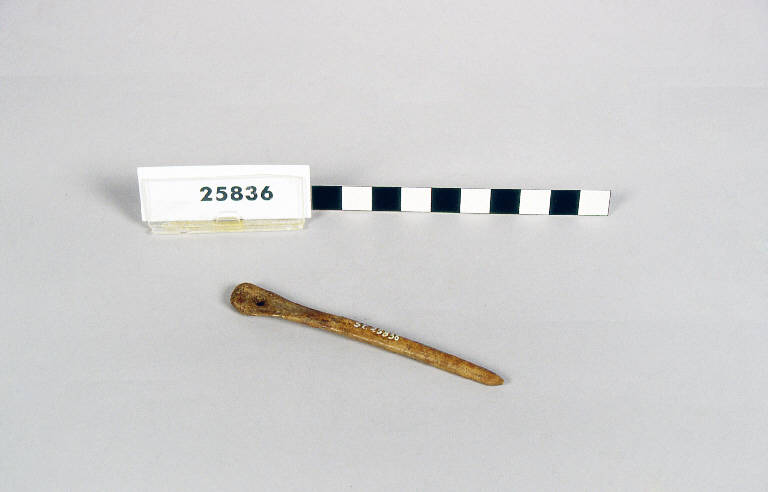 spillone d' osso - fase antica del Bronzo (antica età del Bronzo)