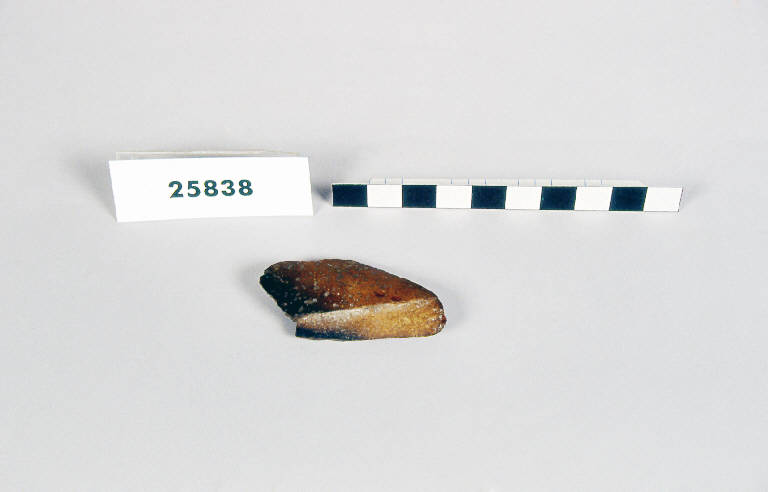 osso / frammento - fase antica del Bronzo (antica età del Bronzo)