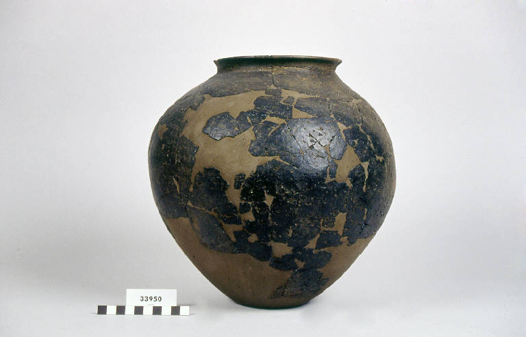 urna ovoidale - cultura golasecchiana (prima età del Ferro)