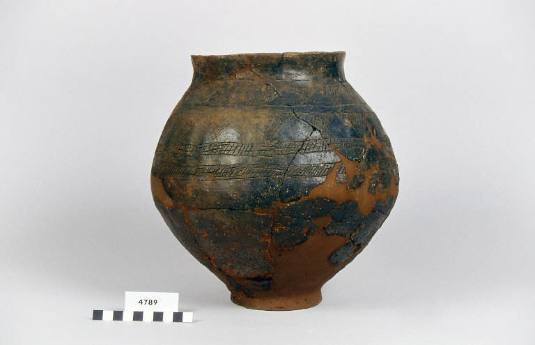 urna ovale - cultura golasecchiana (prima età del Ferro)