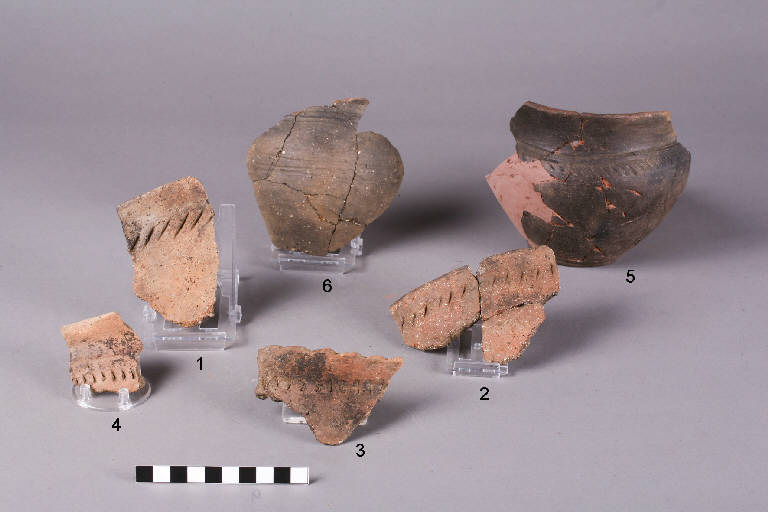vasi situliformi / frammenti - cultura golasecchiana (prima età del Ferro)