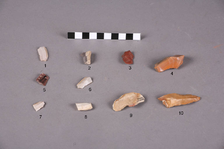 selce / frammenti - cultura golasecchiana (prima età del Ferro)