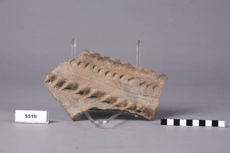 vasellame / frammento - cultura golasecchiana (prima età del Ferro)