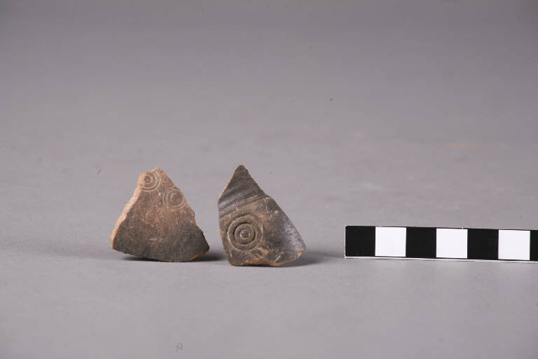 frammenti di bicchiere - cultura golasecchiana (sec. V a.C.)