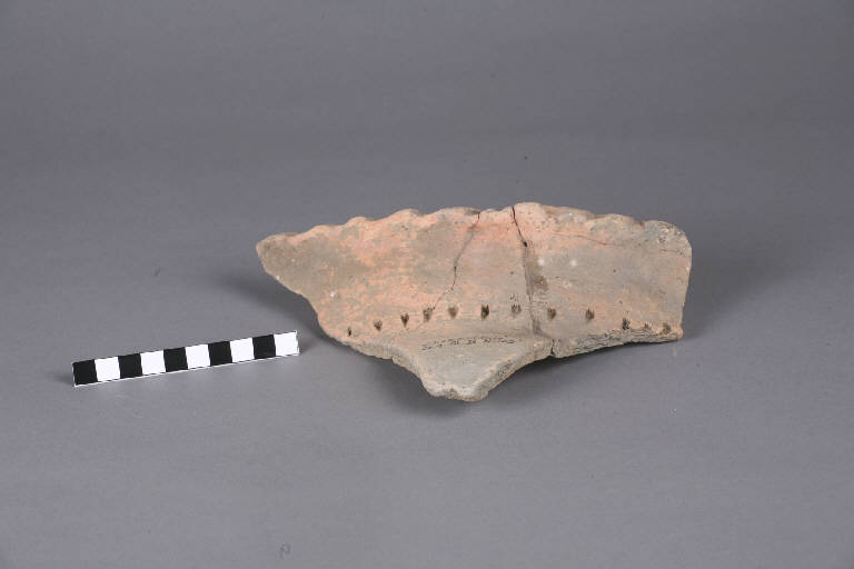 orlo / frammento - cultura golasecchiana (prima età del Ferro)