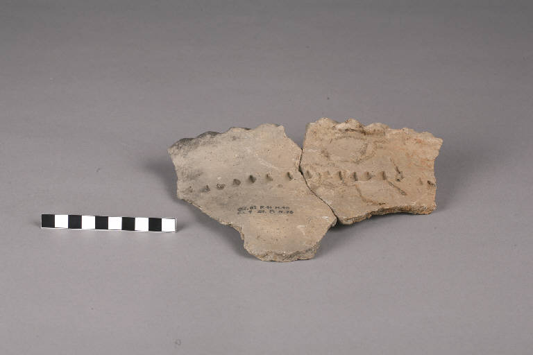 orlo / frammento - cultura golasecchiana (prima età del Ferro)