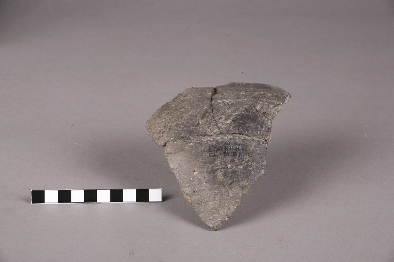 vaso / frammento - cultura golasecchiana (prima età del Ferro)