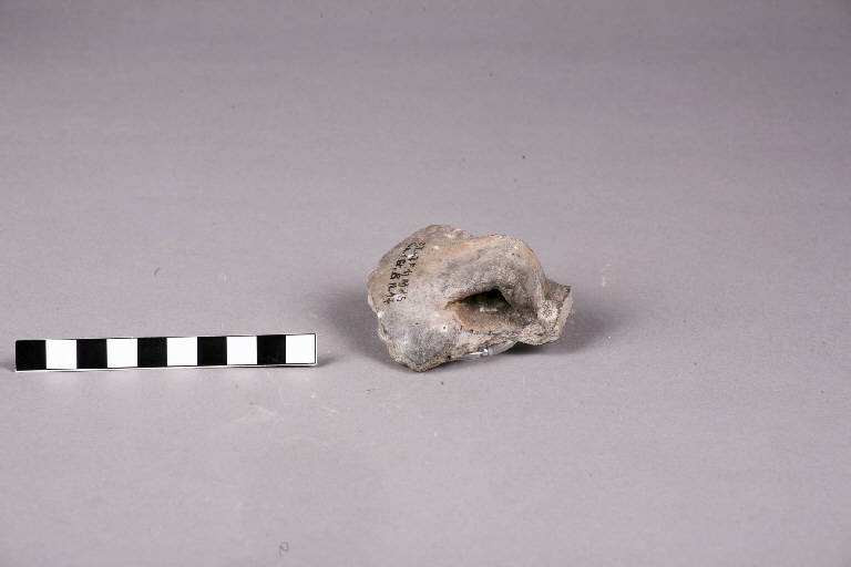 presa / frammento - cultura golasecchiana (prima età del Ferro)