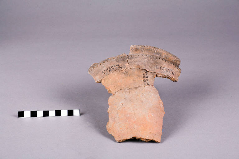 coppa / frammenti - cultura golasecchiana (prima età del Ferro)