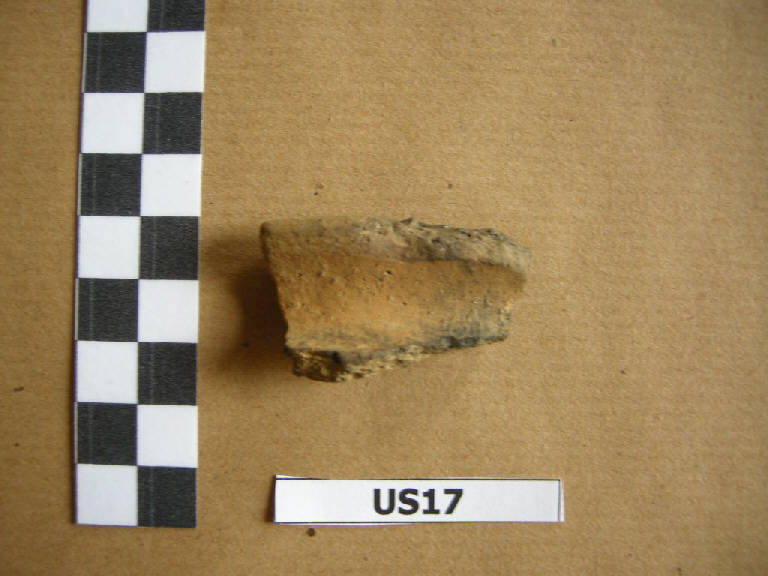 orlo/ frammento - cultura di Golasecca (prima età del Ferro)
