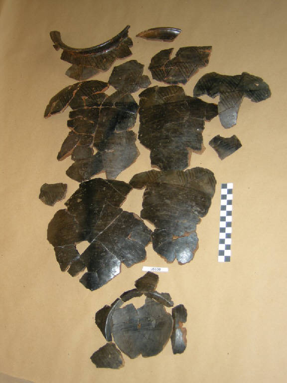 urna ovoide - cultura di Golasecca (sec. VI a.C.)