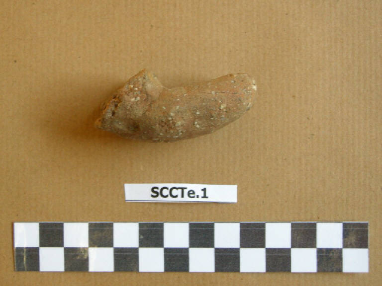 presa - cultura di Golasecca (secc. VIII/ VI a.C.)