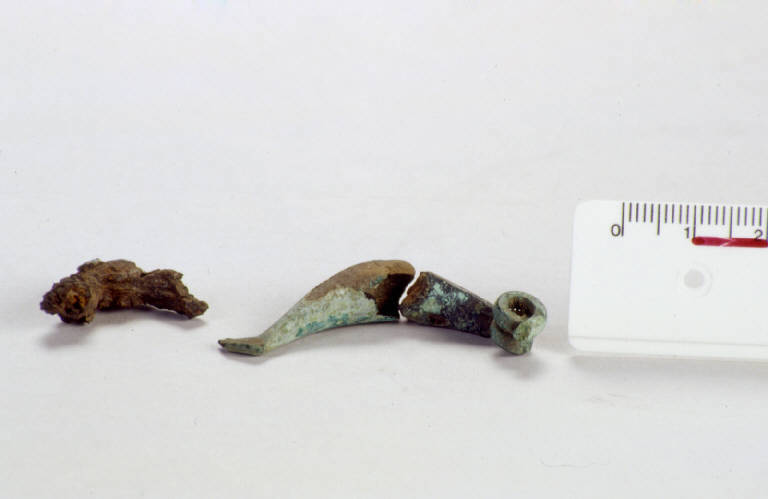 fibula a sanguisuga - produzione golasecchiana (prima età del Ferro)