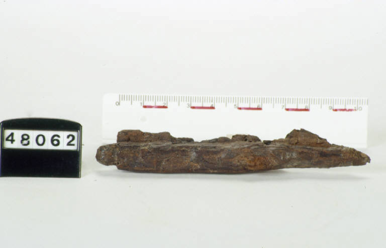elemento in ferro - produzione longobarda (prima metà sec. VII d.C.)