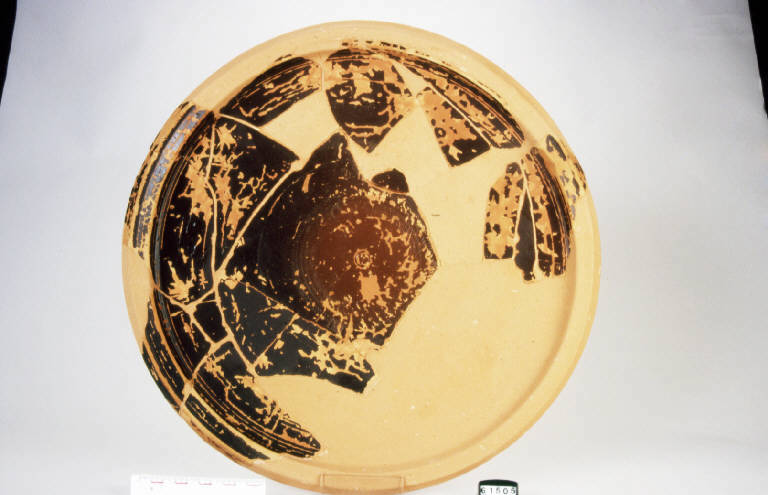 patera, Lamboglia 6, ceramica campana B - fase augustea (fine/inizio secc. I a.C. - I d.C.)