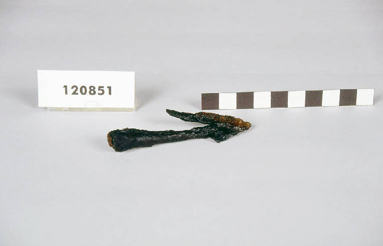 punta di freccia - produzione longobarda (prima metà sec. VII d.C.)