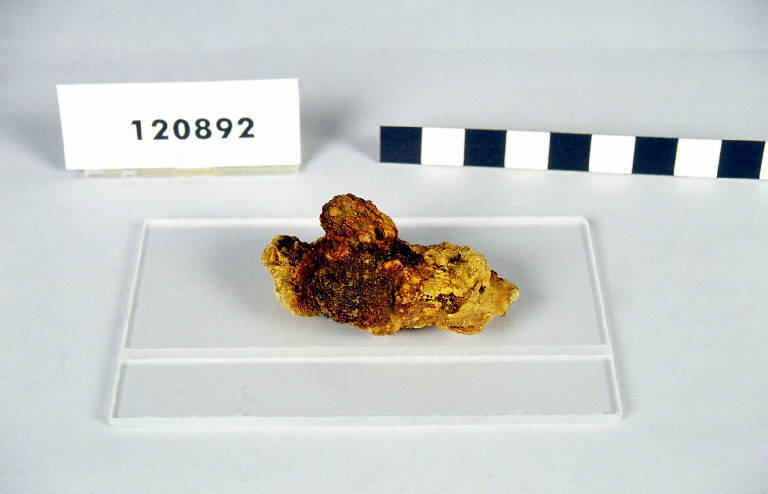 cuoio / frammenti - produzione longobarda (prima metà sec. VII d.C.)