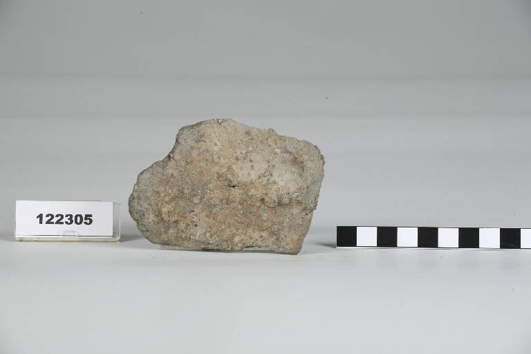 recipiente / frammento - età del Bronzo (Età del Bronzo Medio)
