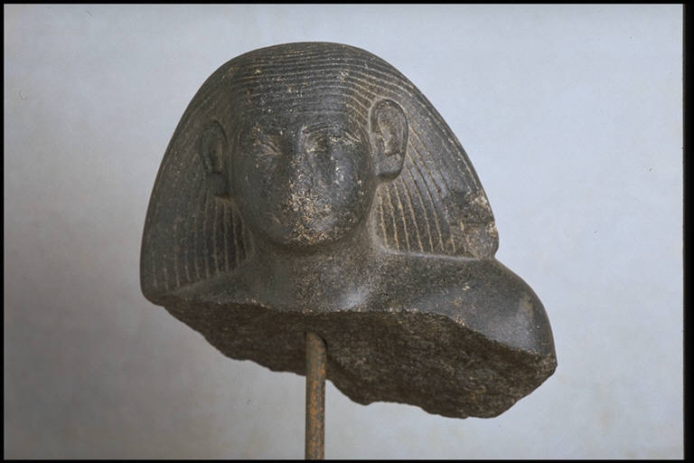 Figura maschile (BUSTO) - produzione egizia (secc. XXII/ XVIII a.C.)