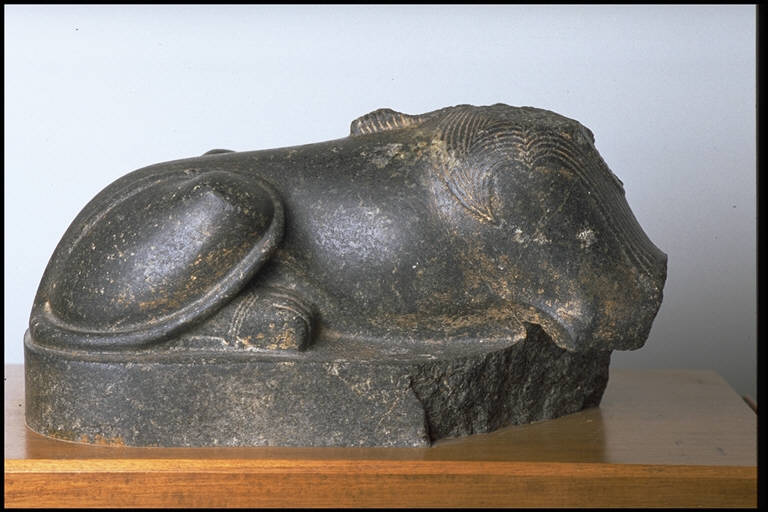 Sfinge (SCULTURA/FORMA RICOSTRUIBILE) - produzione egizia (secc. XIII/ XII a.C.)