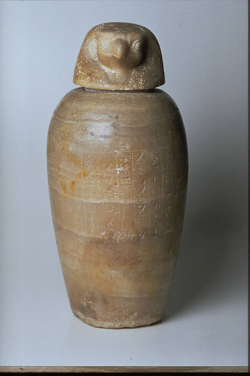 Testa di falco (CANOPO) - produzione egizia (secc. VII/ VI a.C.)