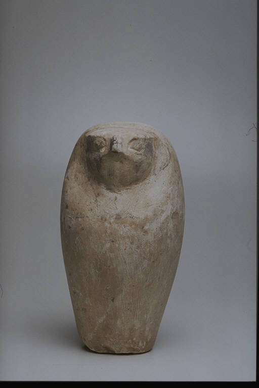 Testa di falco (CANOPO (FALSO)) - produzione egizia (secc. VIII/ VII a.C.)