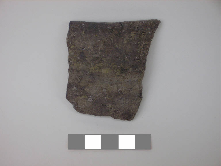 olla/ frammento - ambito paleoveneto (sec. VIII a.C.)