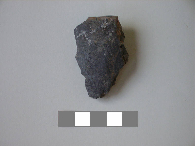 scodella/ frammento - ambito paleoveneto (sec. VIII a.C.)