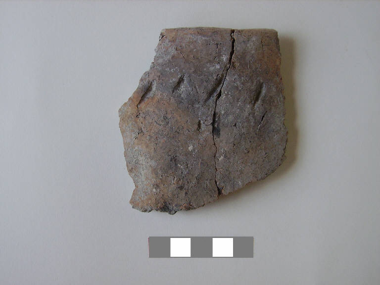 vaso troncoconico/frammento - ambito paleoveneto (sec. VIII a.C.)